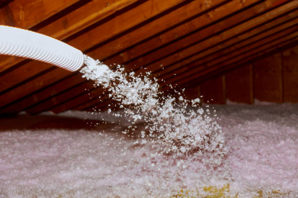 Best Spray Foam Insulation  in Milton, WV