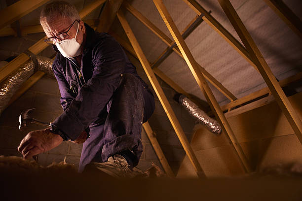 Best Insulation Replacement Services  in Milton, WV